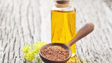 Ketencik tohumu nedir hangi alanlarda ekilir ve kullanılır