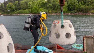 OYAK Çimento’dan Marmara Denizi’ne Ekolojik Katkı: Yapay Resif Projesi