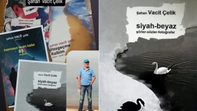 Şahan Vacit Çelik’in Dördüncü Kitabı “Siyah-Beyaz”