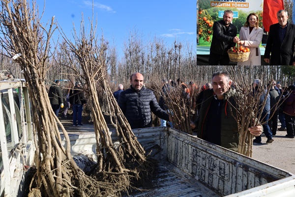Üreticilere 3 bin 600 Trabzon Hurması Fidanı dağıtıldı