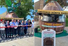 Fındık çeşmesi projesi