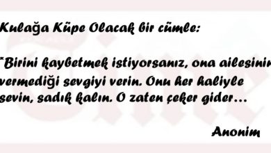 Hayatımızın İçindeki Özlü Sözler Bize Ne Diyor