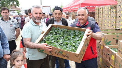 Tarlalar bereketleniyor, Kocaeli çiftçisi kazanıyor 