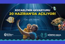 Körfez Aqua Kıtalar Akvaryumu kapılarını açıyor