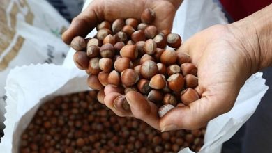 Fındık üreticileri yürüyüş kararı aldı
