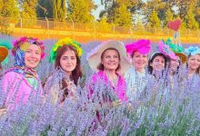 İzmit’te Lavanta Şenliği coşkusu