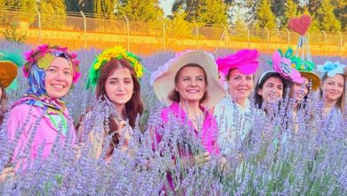 İzmit’te Lavanta Şenliği coşkusu