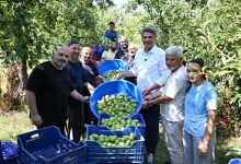 Başkan Kocaman’dan Armut Şenliği’ne Davet