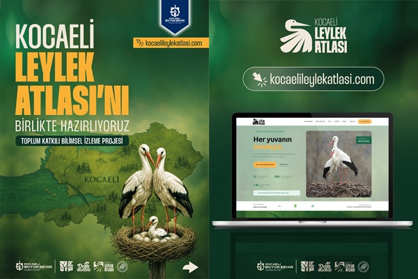 Leylek Yuvaları Kocaeli'de Bilim ve Vatandaş İşbirliğiyle Haritalanacak