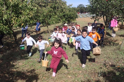 Çınar Çocuk Evi minikleri meyveleri dalından topladı