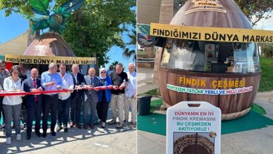 Sertif Gökçe’ye Fındık Çağrısı