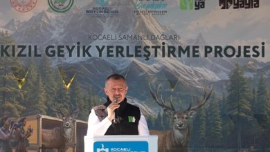 Başkan Büyükakın: “Geyik muhabbeti yapmıyoruz geleceğimiz için çalışıyoruz”