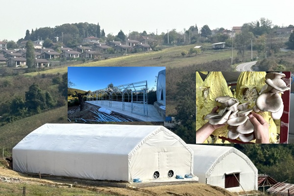 Kırsal kalkınmaya mantar üretim çadırı desteği