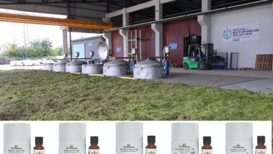 Tarladan Türkiye’ye Ormanya imzası